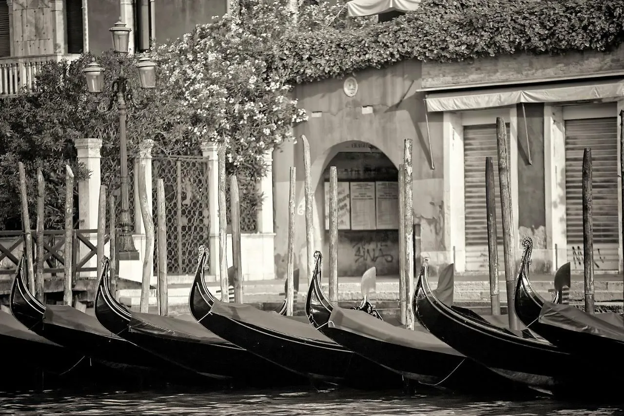Ca Dama Del Pozzo Apartamento Venecia